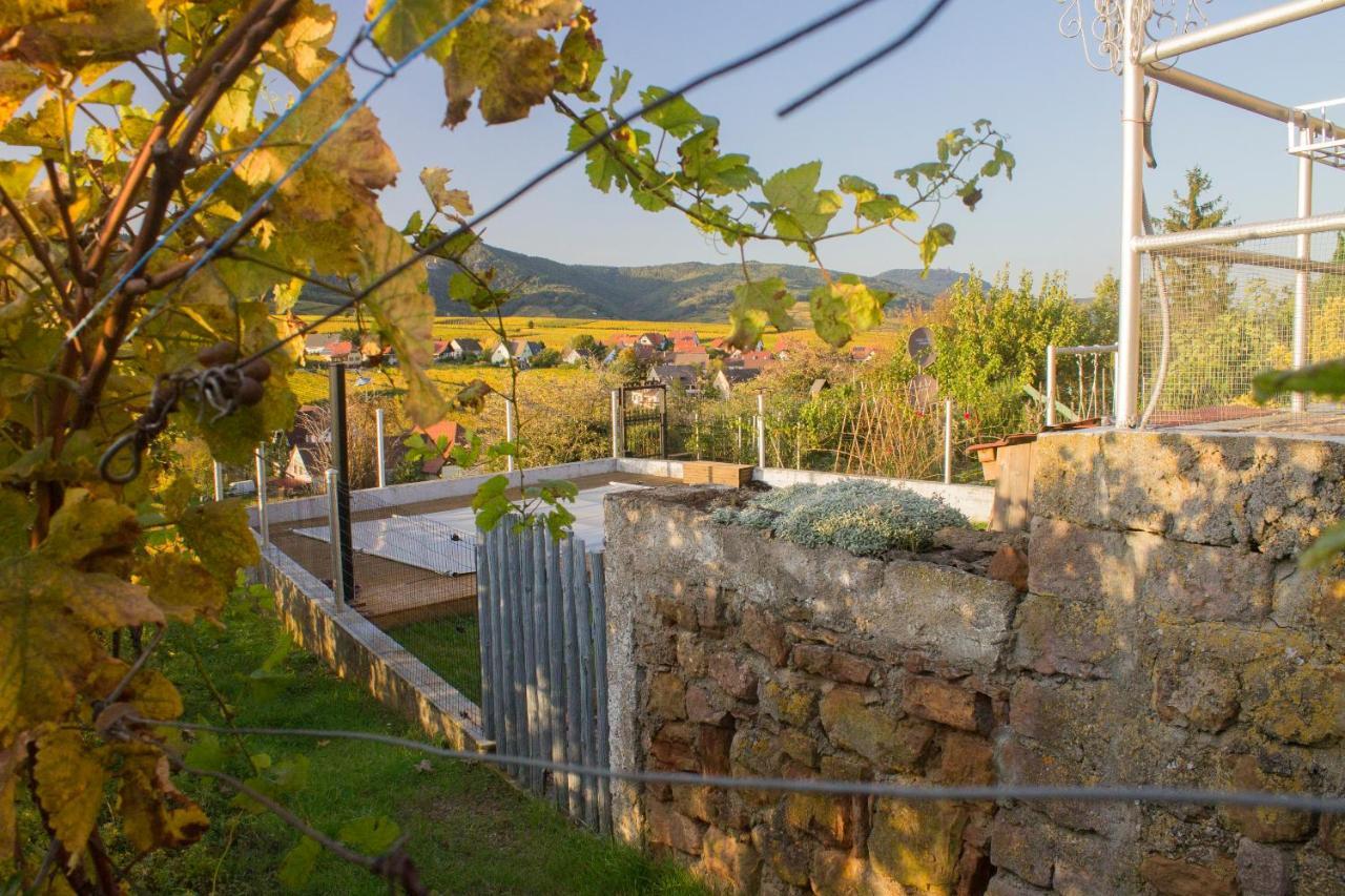 Le Zell Villa Zellenberg Exterior foto